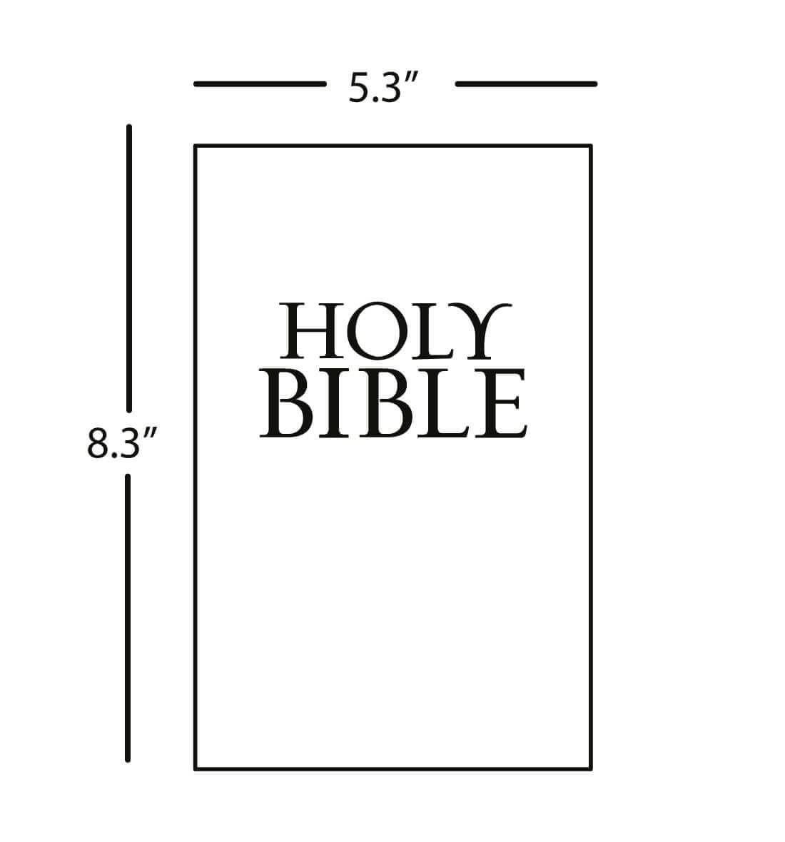 Outreach Bibles