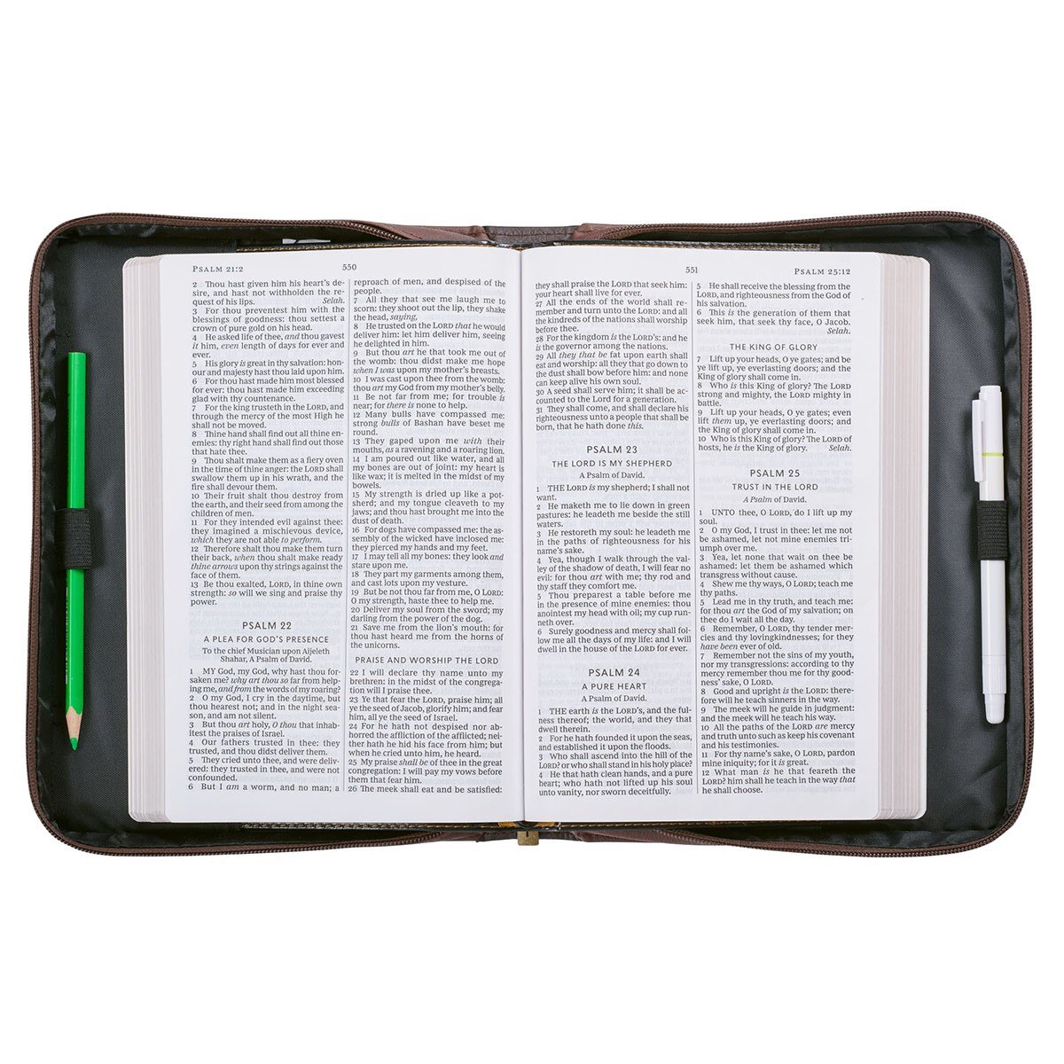 Brown Lion Faux Leather Bible Cover for Men: Lord Is My Strength - Ex. 15:2, LG