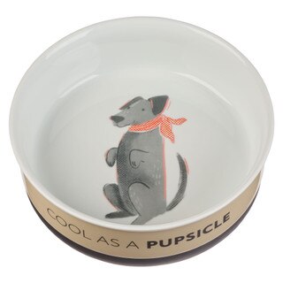 Cool As A Pupsicle Large Taupe Ceramic Dog Bowl