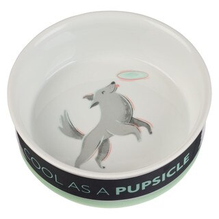 Cool As A Pupsicle Medium Gray Ceramic Dog Bowl