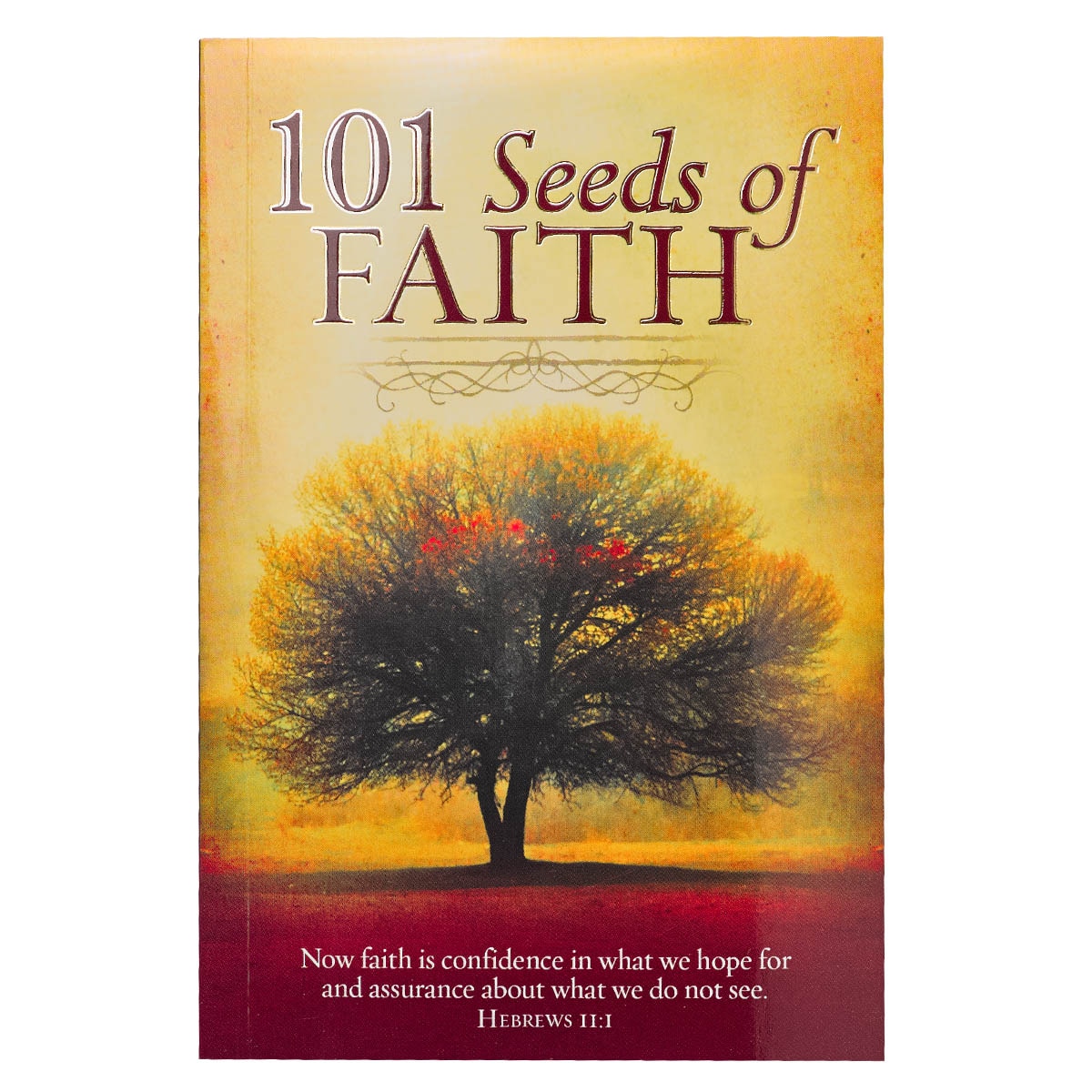 101 Seeds Of Faith