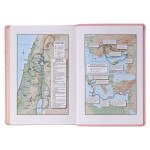 KJV Bible Giant Print Full Size Pink : : Livres