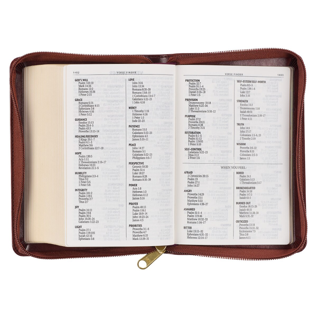 Framed Burgundy Faux Leather Large Print Compact King James Version ...