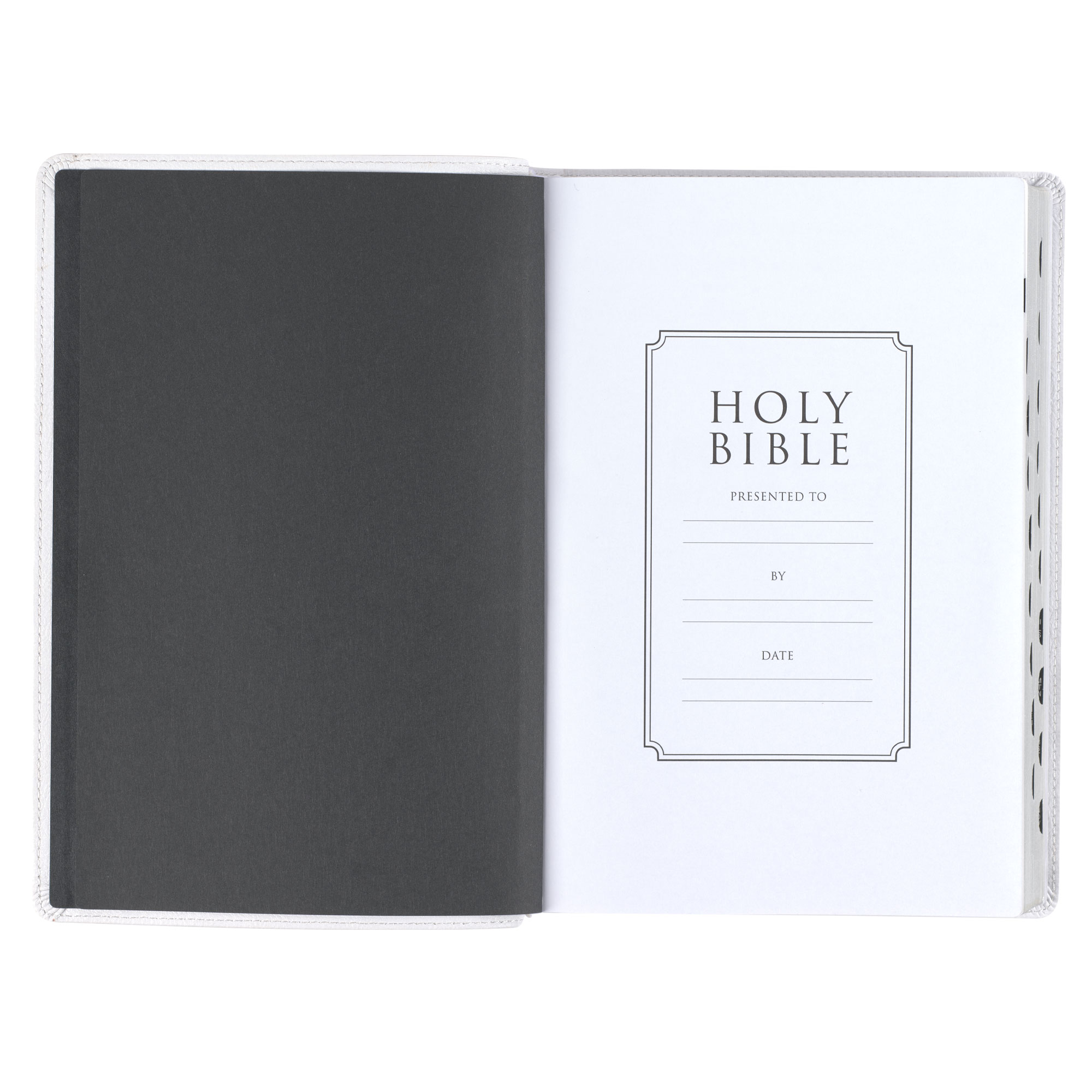 Holy Bible King James Version Old & New 2024 Testament White Leather Illustrated